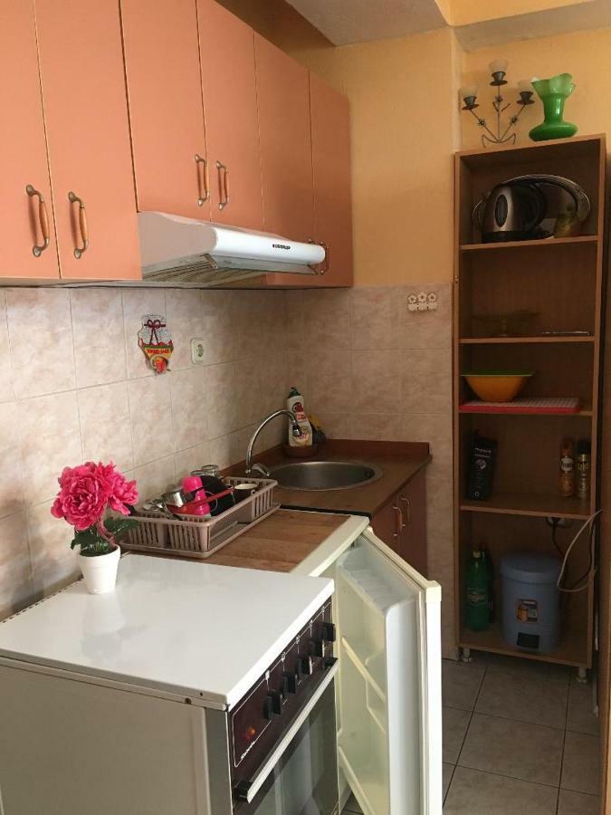 Ani Apartment オフリド エクステリア 写真